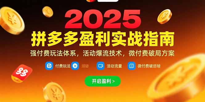拼多多盈利实战指南，强付费玩法，活动爆流技术，微付费破局方案(更新7月
