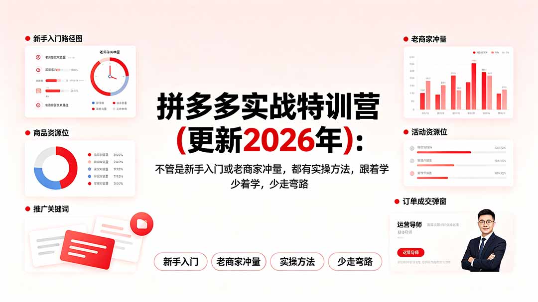 拼多多实战特训营(更新2026年