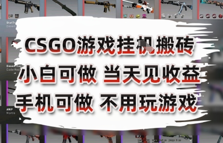 CSGO游戏挂G搬砖，小白纯手机即可操作，不用电脑打游戏，日入3张+，副业网创项目【揭秘】