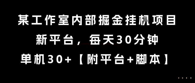 某工作室内部掘金挂G项目，新平台，每天30分钟，单机30+【揭秘】