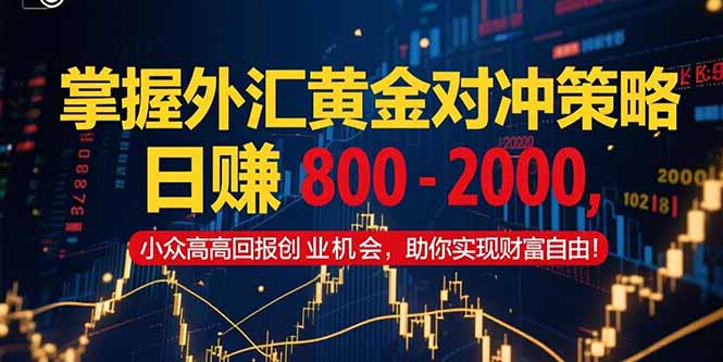 掌握外汇黄金对冲策略，日赚 800 - 2000，小众高回报创业机会，助你实...