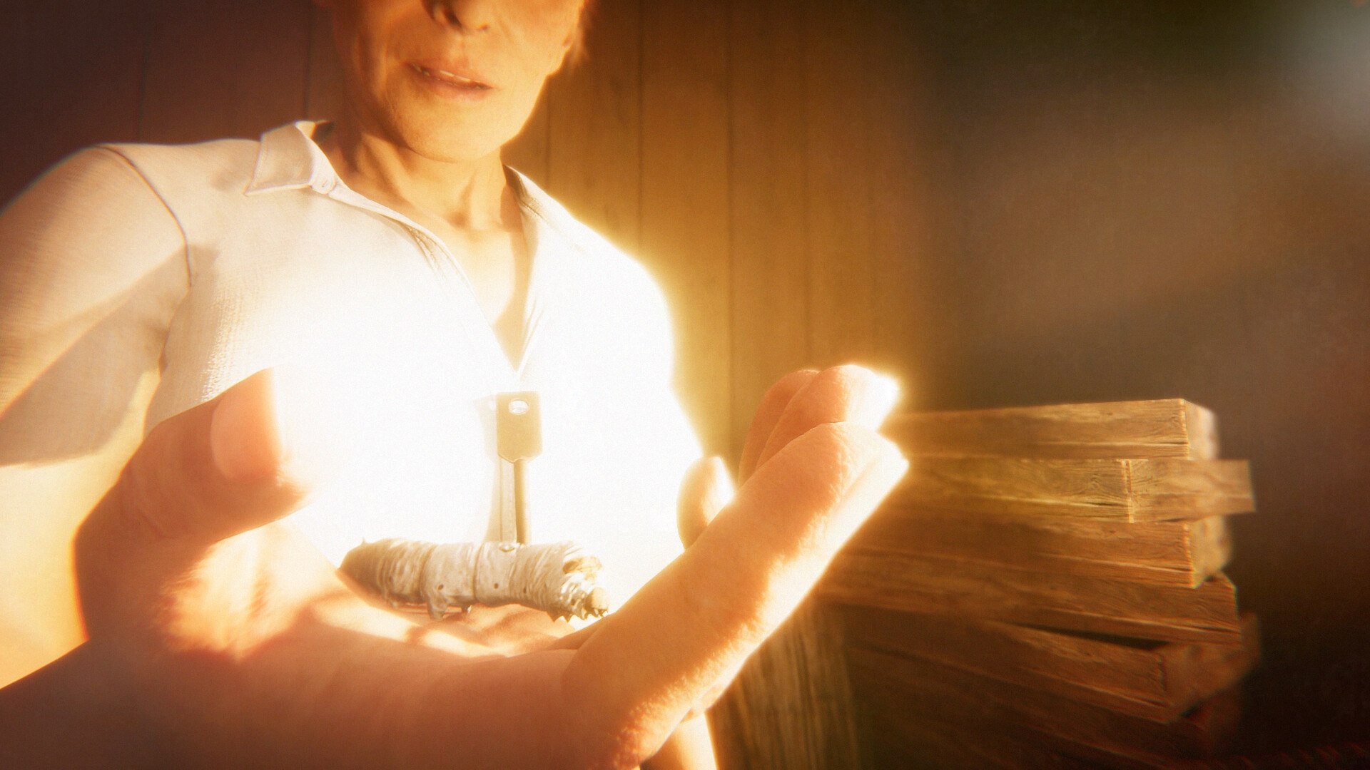 《茧中蚕 Hollow Cocoon》美版中文+1.0.4补丁