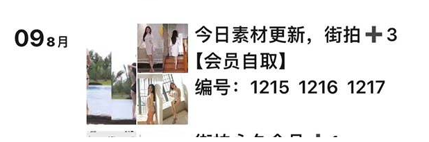 套图项目玩法，零成本，有手机就能操作！