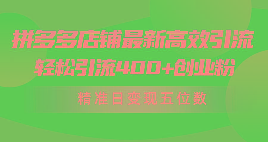 (10041期)拼多多店铺最新高效引流术，轻松引流400+创业粉，精准日变现五位数！
