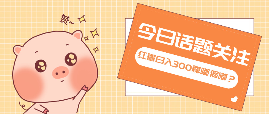 全新红薯浏览，打破常规 双端操作，每天运行6小时，让你获得工作以外的...