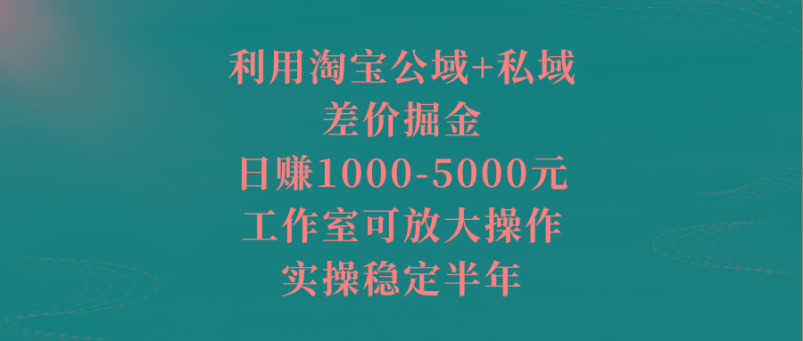 利用淘宝公域+私域差价掘金，日赚1000-5000元，工作室可放大操作，实操...