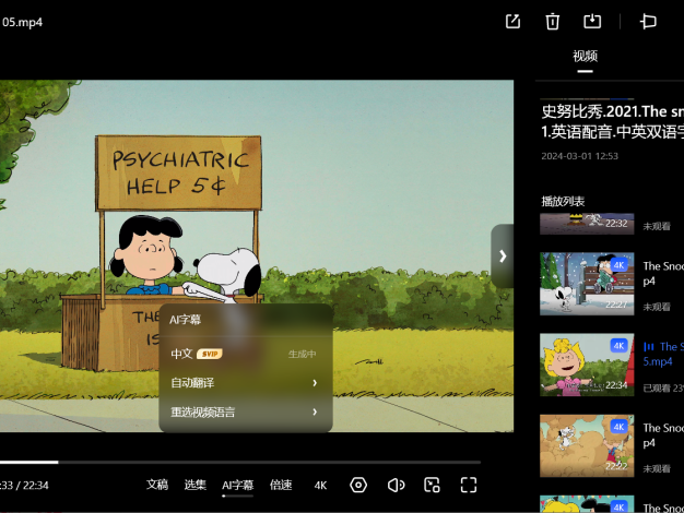 夸克网盘看视频没字幕如何解决？