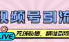 『引流必备』最新视频号无限私信机，号称日发十万条精准引流『引流脚本+使用教程』