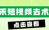 『 精品工具』最新短视频去水印 mp5 媒体工具箱  『 一年软件+使用教程』