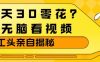 1天30零花？无脑看视频，大佬亲自揭秘