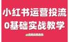 小红书运营投流，小红书广告投放从0到1的实战课，学完即可开始投放(更新26年)