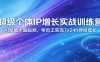 超级个体IP增长实战训练营：AI赋能大脑超频，零员工实现7x24h持续增长(更新)