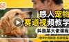 感人宠物赛道视频教学，抖音某大佬课程，可做伙伴计划精选独家收益