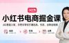 小红书电商掘金课：从0基础入局，手把手带你打通选品、引流、出单全链路