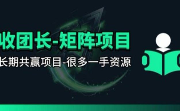 【团长合作】视频矩阵项目_招发手矩阵+剪辑师,共赢项目【揭秘】