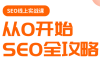 若凡老师·谷歌SEO实操课(更新)