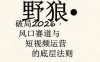 野狼团队·多平台实操运营课，覆盖AI口播、服装、好物、漫剪等热门玩法(更新4月)