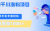 刚需千川涨粉项目，一部手机无需技术，单日变现1000＋当天做当天见收益