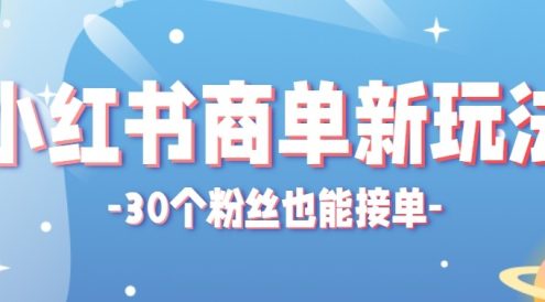 合新手小白操作的小红书商单新玩法，低粉丝也能接单，一个月接三单赚了150+！