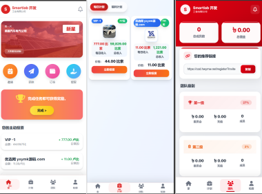 海外汽车电气投资理财源码/三级分销/可自定义产品
