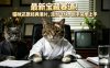 最新宝藏赛道！猫咪还原经典港片，涨粉飞快，新手简单上手