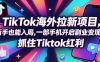 Tc联盟TikTok海外拉新项目，新手也能入局，一部手机开启副业变现，抓住Tiktok红利