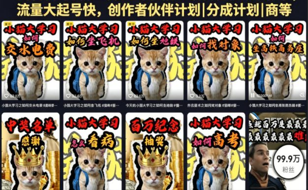 抖音百万粉丝博主的小猫生活科普视频教学，流量大起号快，创作者伙伴计划|分成计划|商单|收徒等