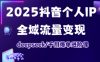 抖音个人IP全域流量变现进阶课，deepseek千川爆单进阶课(更新2026年05月)