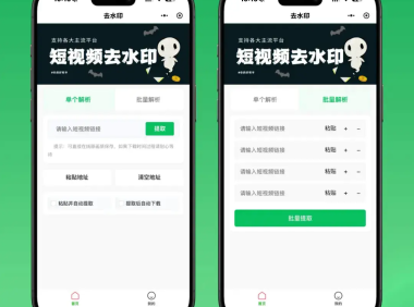 2026最新去水印小程序源码 v1.6.5 带流量主