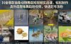 抖音爆款抽象动物舞蹈短视频实战课，轻松制作高热度趣味舞蹈短视频，快速起号涨粉
