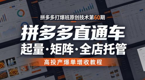 拼多多打爆班原创技术第60期,拼多多直通车,起量・矩阵・全店托管,高投产爆单增收教程