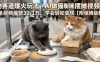 宠物赛道爆火玩法，AI做猫咪摆摊视频，单条视频爆赞32.1万，学会轻松变现【附保姆级教学】