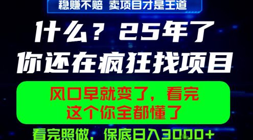 26年,请不要疯狂的找项目做了!卖项目才是真的稳賺不赔,看完照做,保底日入1k+【揭秘】