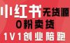 小红书无货源0粉电商课，开店准备、选品策略、笔记撰写、视频剪辑、数据分析、账号打造、资料文档(更新26年6月22日)