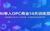 AI单人OPC商业14天训练营：商业模式定位与AI工具实操，私域B端业务变现方案