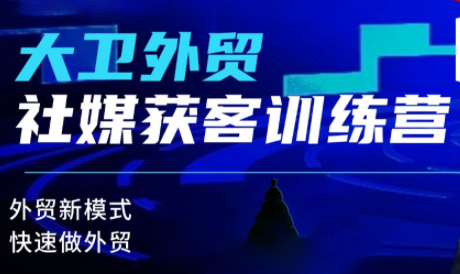 大卫老师·外贸社媒获客独家训练营(更新6月)