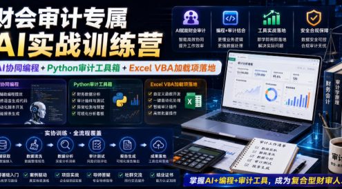 财会审计专属AI实战训练营｜AI协同编程+Python审计工具箱+Excel VBA加载项落地