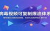 病毒视频可复制爆流体系：揭秘爆款流量底层逻辑，标准化流程持续出圈变现