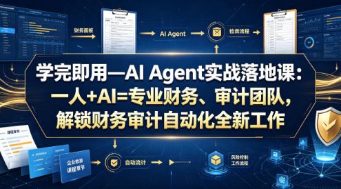 学完即用—AI Agent实战落地课：一人+AI=专业财务、审计团队，解锁财务审计自动化全新工作模式