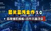 团长蓝海合作3.0，每周爆款模板+合作共赢项目