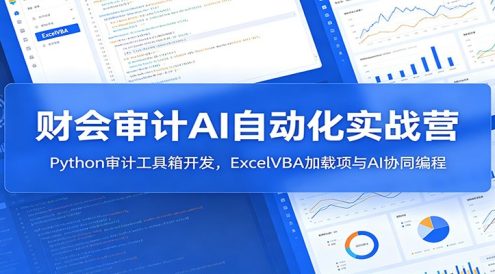 财会审计AI自动化实战营：Python审计工具箱开发，ExcelVBA加载项与AI协同编程