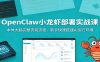 OpenClaw小龙虾部署实战课：本体大脑完整安装流程，新手快速搭建AI运行环境