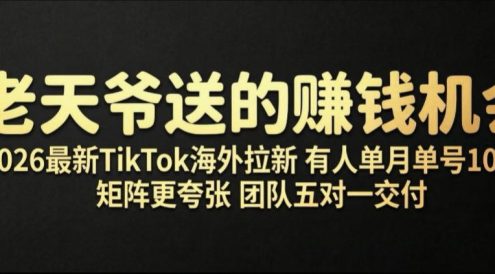 老天爷送的賺钱机会!2026最新TikTok海外拉新,有人单月单号10W+,矩阵更夸张,团队交付【揭秘】