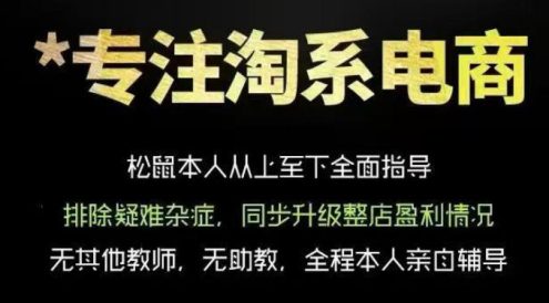 松鼠会电商VIP课程,从基础布局到高阶优化,助你掌握淘宝运营逻辑,提升店铺流量与转化(更新0711)