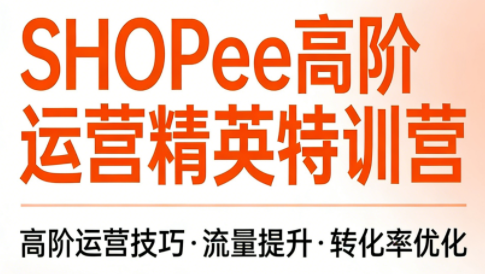 梦凡老师·Shopee虾皮高阶运营课程(更新)
