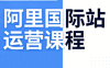 张国儒·阿里国际站运营课程(更新7月)