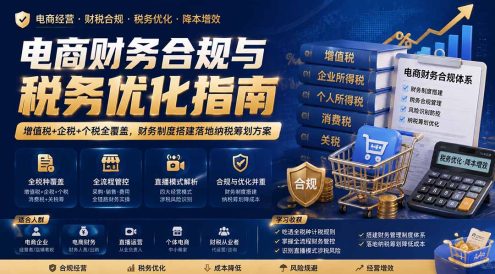 电商财务合规与税务优化指南：增值税+企税+个税全覆盖，财务制度搭建落地纳税筹划方案