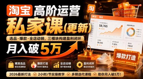 淘宝高阶运营私家课(更新26年