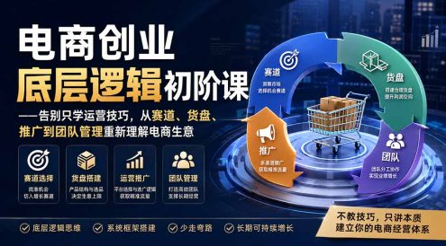 电商创业底层逻辑初阶课——告别只学运营技巧,从赛道、货盘、推广到团队管理重新理解电商生意