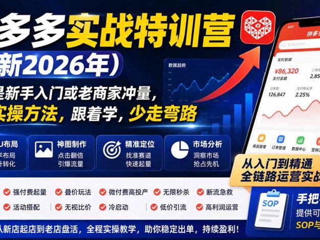 拼多多实战特训营(更新26年0827